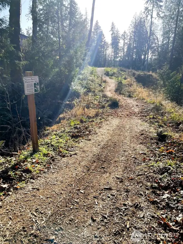 Walking trail