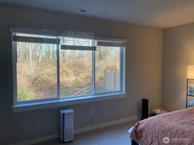 Master Bedroom View