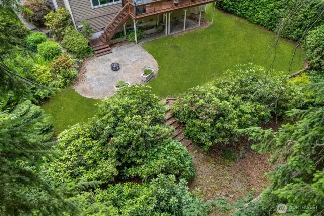 Aerial view of backyard