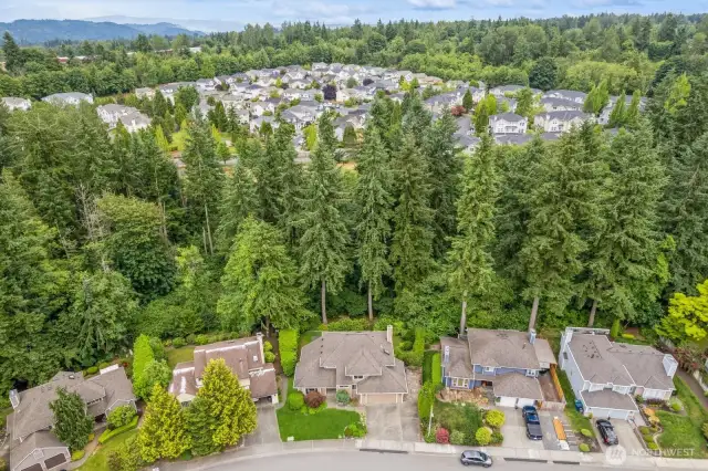 Aerial view of location