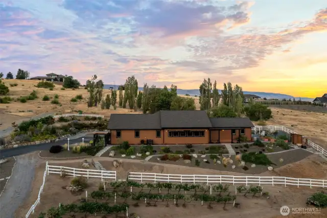 Estate hobby vineyard