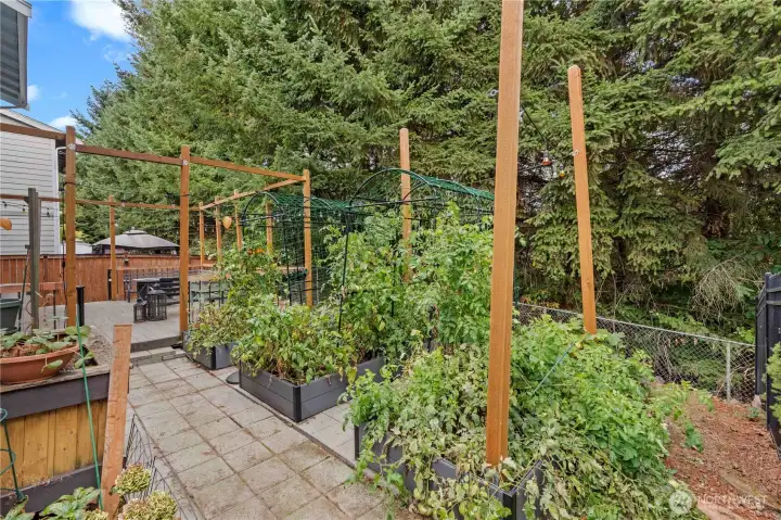 Large planting boxes throughout the backyard