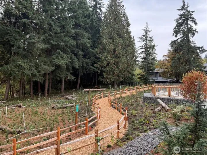 Community green space.