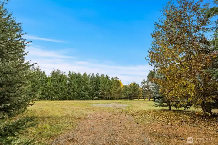 View from new driveway to property.