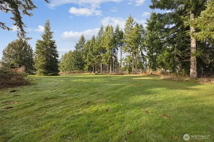 Mature trees, open space, privacy, rural but close in; plenty of room.