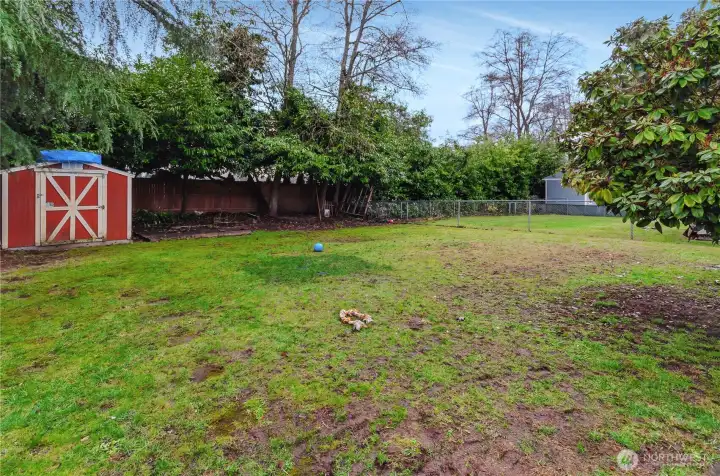 Spacious level yard with shed