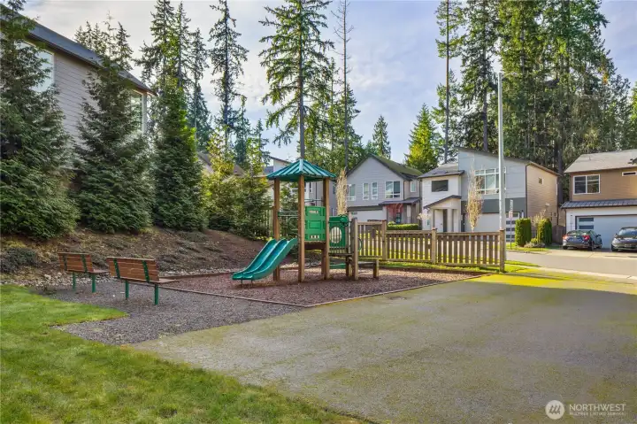 Community playground.