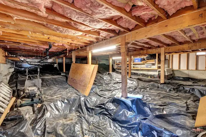 Bonus Storage under the home. Built in shelves for storage. Power and lights for your convenience. Door access from back yard area.