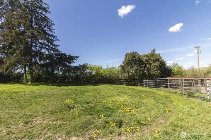 Fenced-in dog run