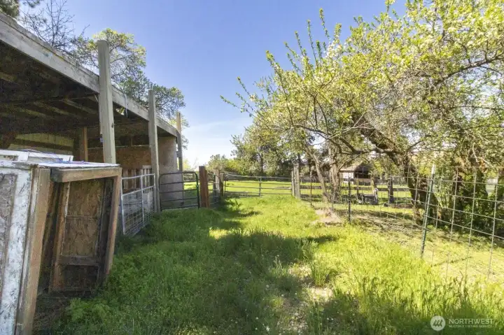 Covered hay shed with fenced pasture and mature fruit trees nearby