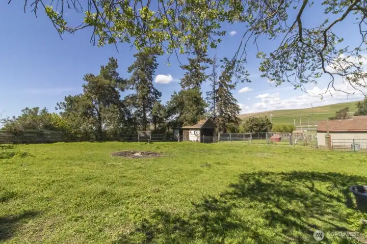 Expansive pasture/open lawn with mature shade trees and wide-open views