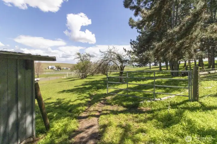 Peaceful acreage with established trees and open grassy space