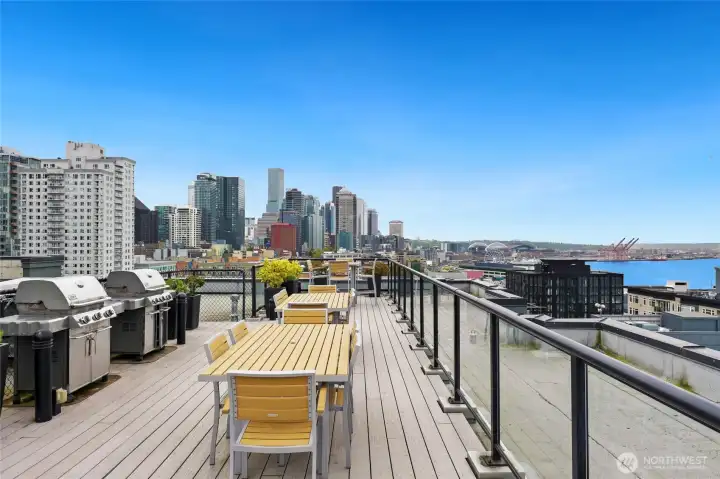 RoofTop Deck Downtown View