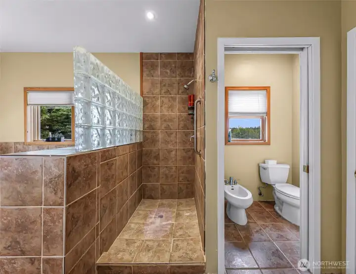 Primary bathroom shower and toilet room with a bidet.