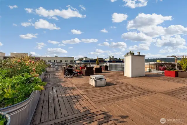 Roof top deck