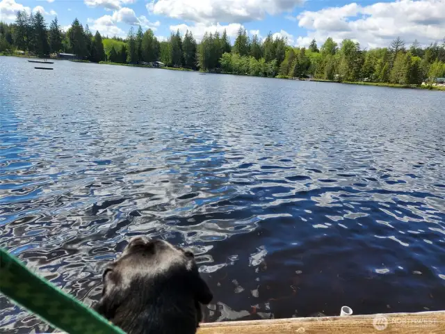 Standing on the dock you can see the club house. Great lake for fishing!