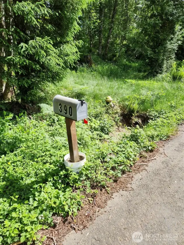 There is a mailbox at one corner of the property and a fire hydrant!