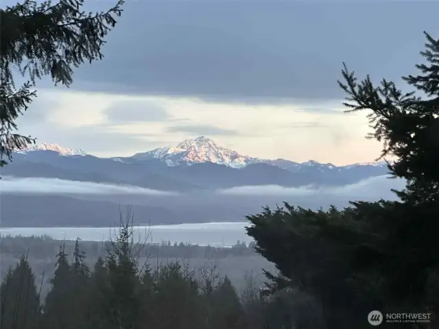 View in the winter