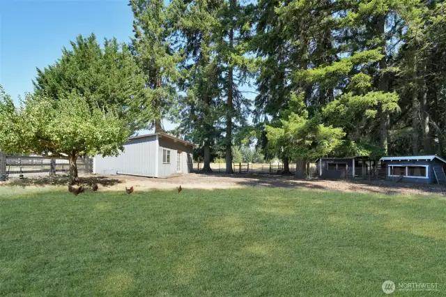 Exterior of gym facing east, chicken yard, chicken coops and gazebo on left, grass has been retouched