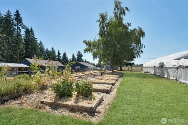 South facing view of raised garden beds with home on left and 30 x 96 green house on right, grass has been retouched