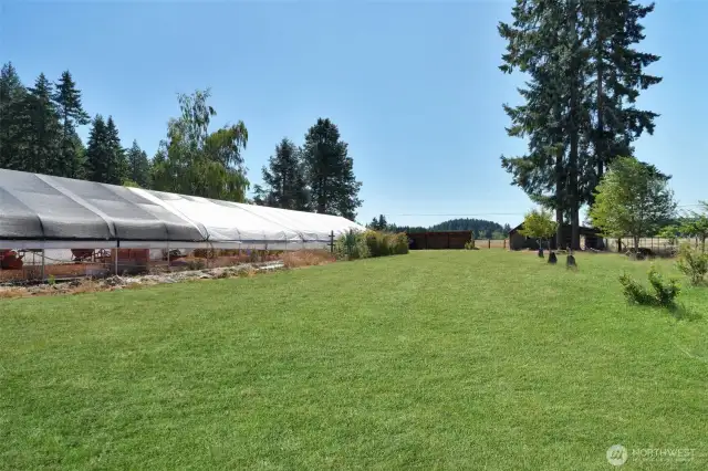 South facing view of greenhouse on left, orchard on right, variety of plants include cider apples:Pippen/Arkansas Black/Gala, blueberries, raspberries, pie cherries, italian plums, concord grapes, honey berries and translucent apples, grass has been retouched