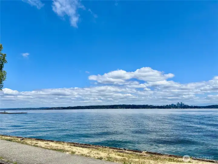 Only 1/2 mile from Madrona Beach!