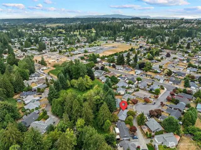 Community aerial view.