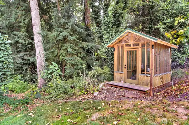 Greenhouse view near edge of your woods.