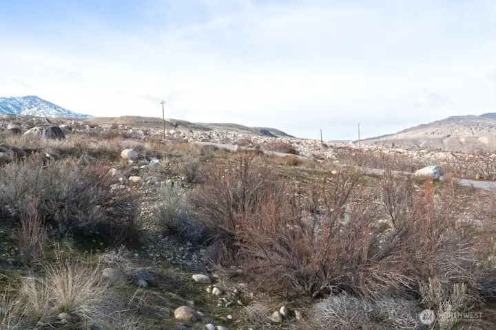 Boulders deposited here by ancient floodwaters are abundant on the surface. Prior excavations in the neighborhood indicate that there are not nearly as many below the surface - great news for site work!