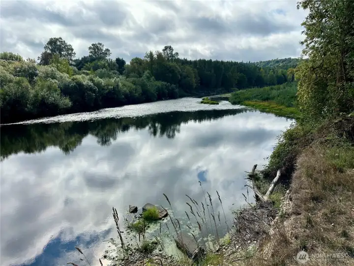 Chehalis Riverfront Property - Peaceful and serene.
