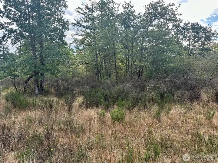 Cattle were raised here in the past.