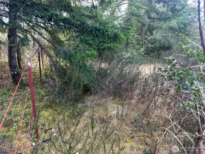 Partially Fenced