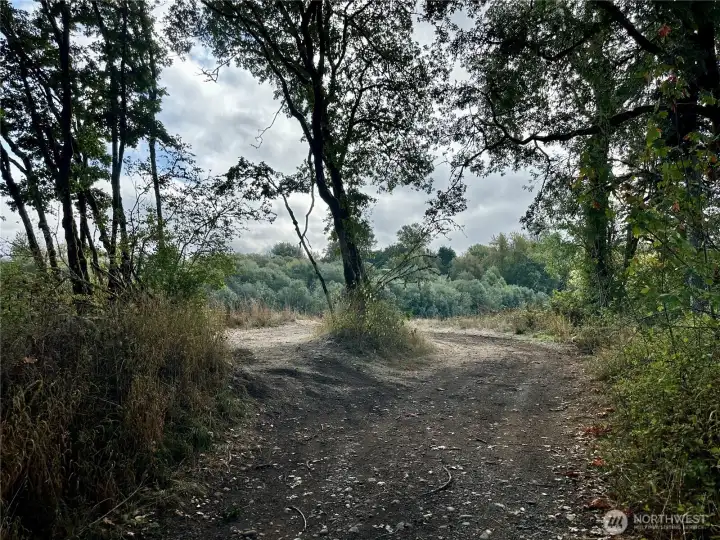 You'll find yourself in awe of this beautiful fairytale property.