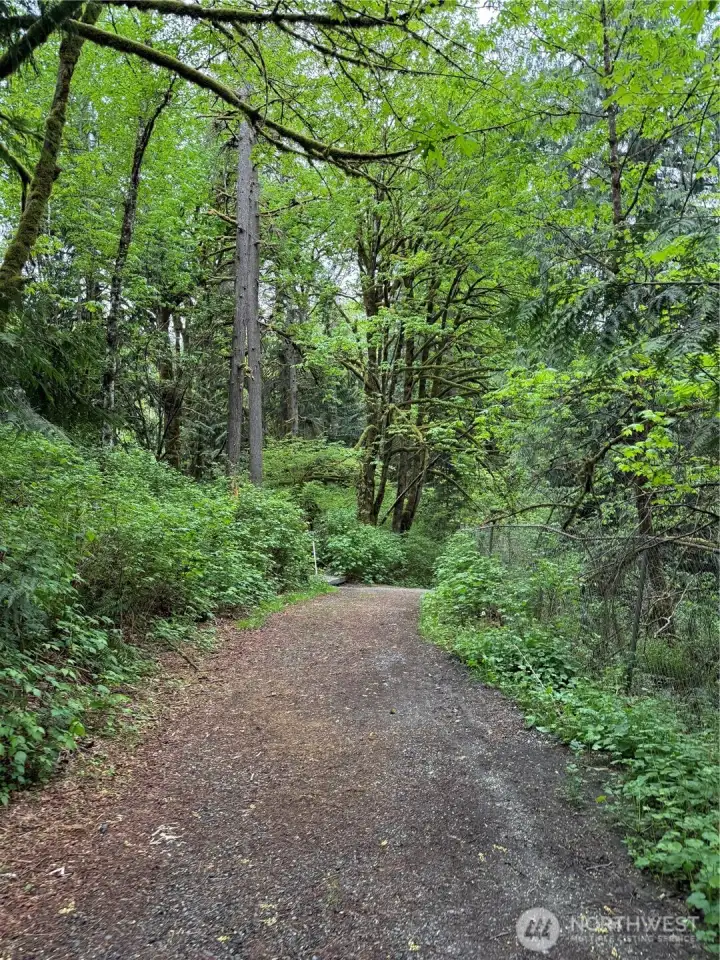 Path at the "the Falls" just down the street
