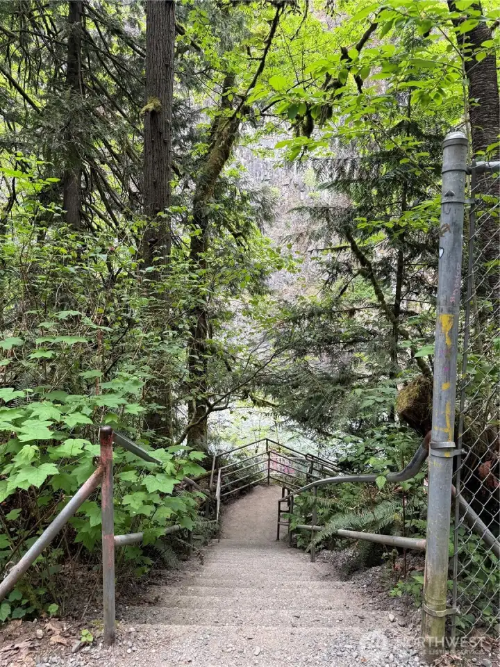 The Falls