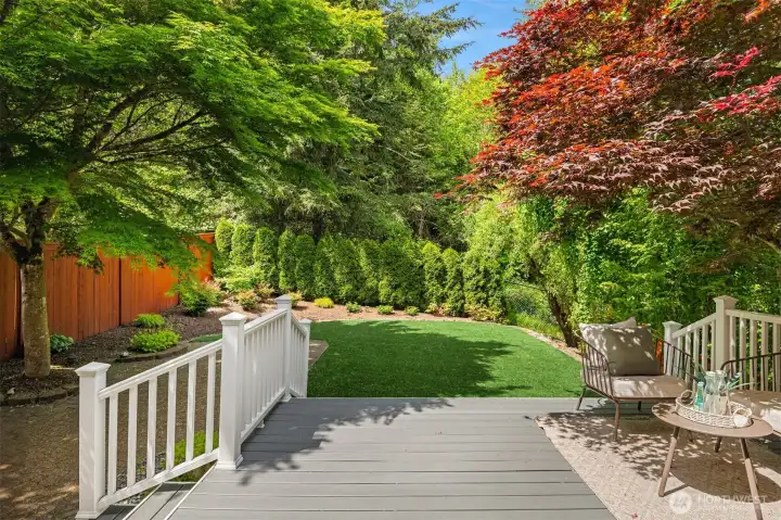 Step down to the turfed yard - low maintenance and always green