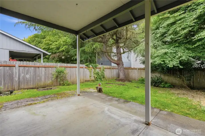Covered back patio Covered back patio