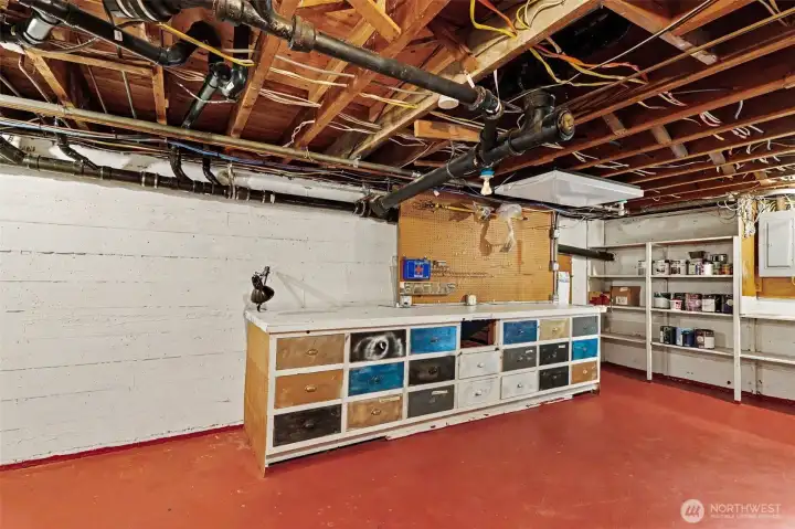 Large Storage / Shop Area in Basement