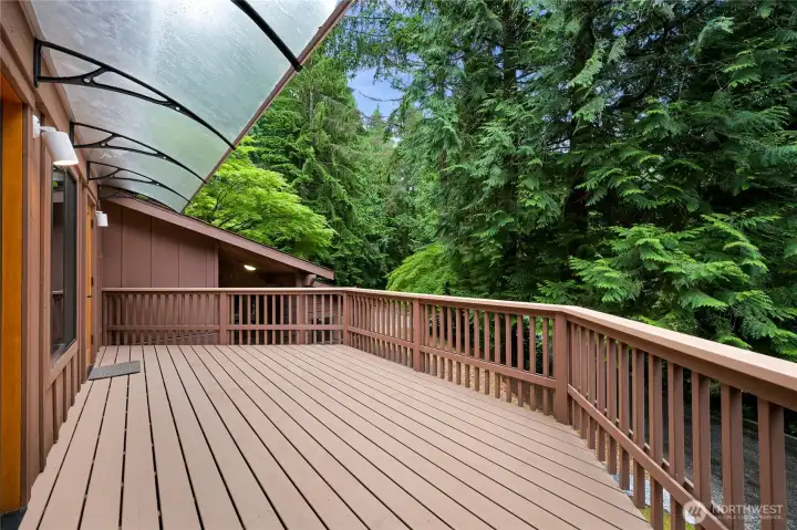 This remodeled Deck looks out onto the cedars and hemlocks. Friends' vehicles coming up the driveway are visible on the left in this photo This remodeled Deck looks out onto the cedars and hemlocks. Friends' vehicles coming up the driveway are visible on the left in this photo