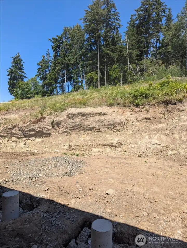 Backyard, level area will be grass and then a terraced garden bed