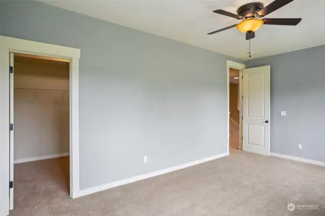 Lower level bedroom with walk in closet
