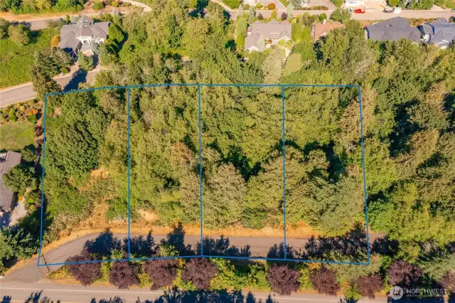 Lines are for general idea of lines only with Lot 16-C 5518 Puffin Place being the third one in from the left. Puffin place is a private road and gated. These are duplex lots or a home and Casita (guest home). Elevated panoramic view site, with views well over the homes.