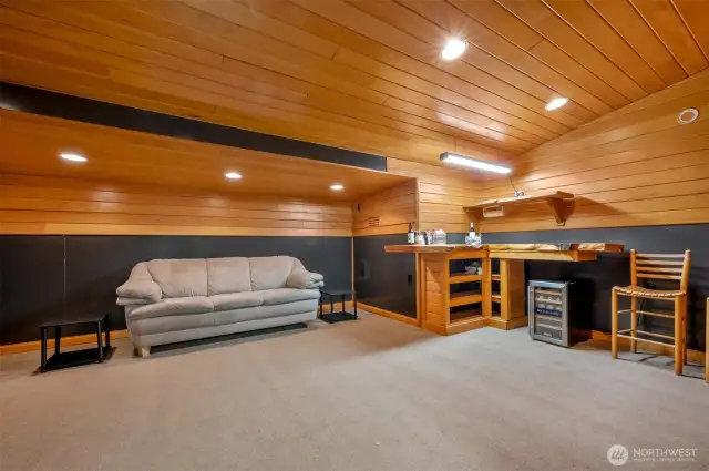Shop "cave"...media and entertainment room.