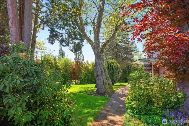 Path to front of home.