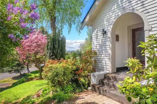 Gorgeous flowering trees and view into the distance