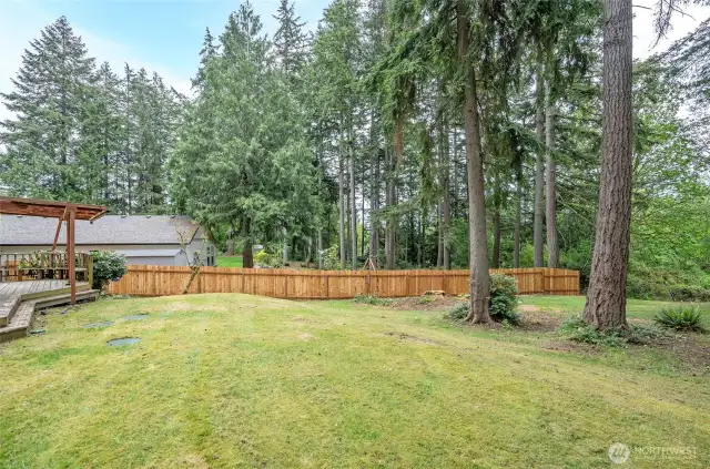 Back yard looking West