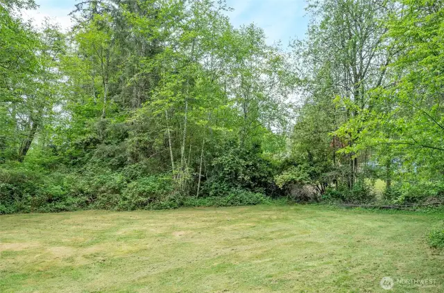 Lower field
