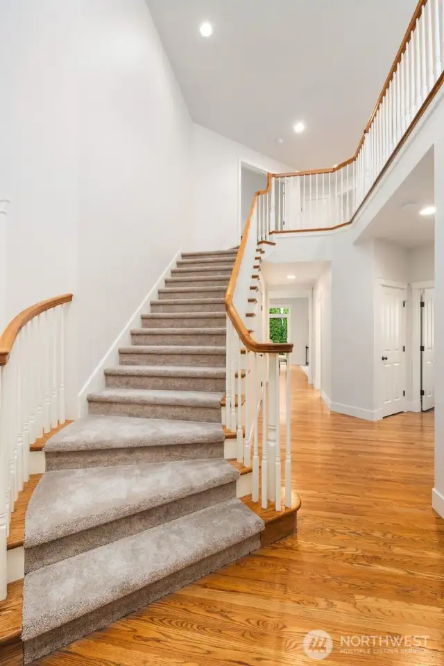 Grand curved wide staircase to the upper level.  Freshly painted and new carpet:)