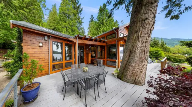 Full-length main level deck wraps around impressive tree: a great spot for al fresco dining.