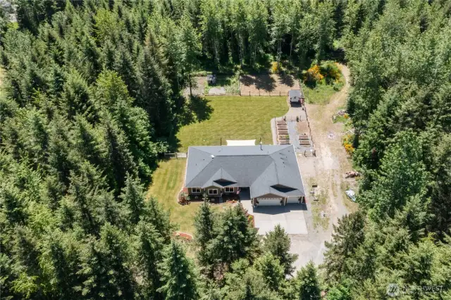 Your private haven on 5+ acres surrounded by majestic trees awaits!